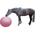Paardenvoetbal Roze 100cm